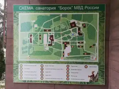 Борок - 36