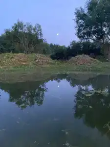 Медвежье урочище - 40