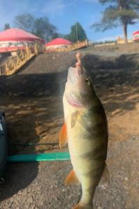 Юрта Лахти - 39