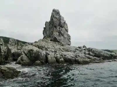 Райли - 3