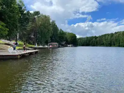 Зелёная роща - 60