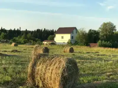 Живой источник - 3