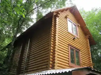 Медвежий Угол - 4