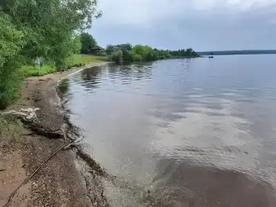 Чистый продукт - 10