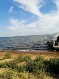 Причал 55 - 21