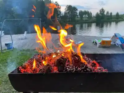 Зелёная роща - 22