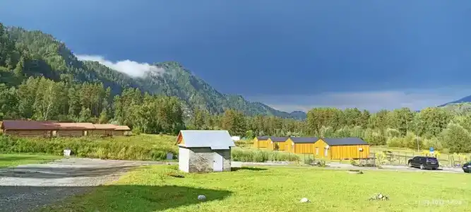 Вереск - 0