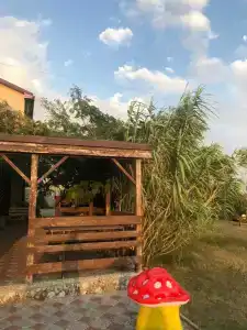 Белый Хорват - 18