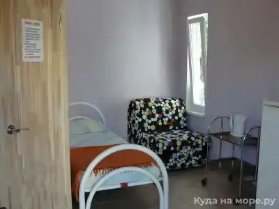 Аир - 10