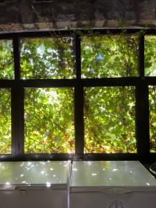 Boutique Las Islas - Adults Only - 13