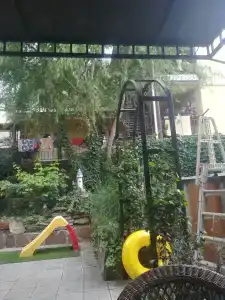 Сибирячка - 2