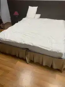 Festa - 12