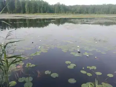 Турынгурт - 1