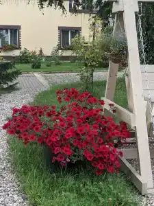 Тихая Гавань - 39