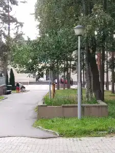 Буревестник - 8