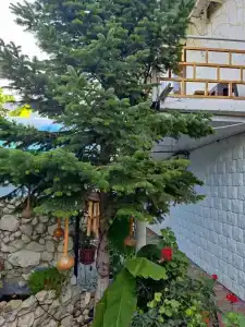 у Левы - 10
