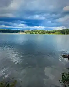 Стеклянный берег - 56
