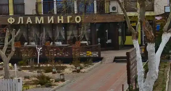 Фламинго - 59