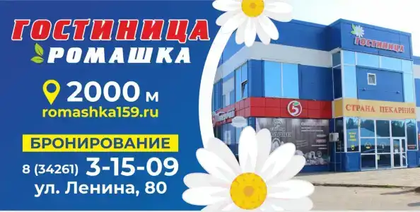 Ромашка - 1
