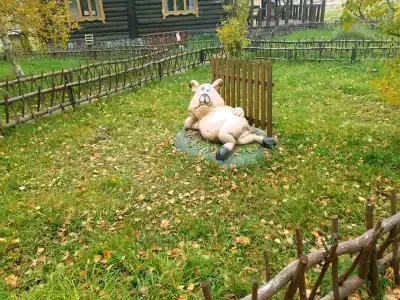 Микли-Ольгино - 81