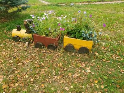 Микли-Ольгино - 55