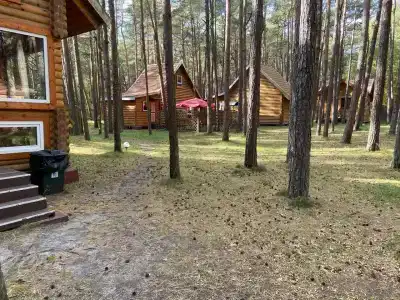 Визит база отдыха - 35