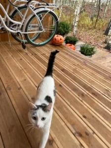 Усадьба Долгорукий - 42