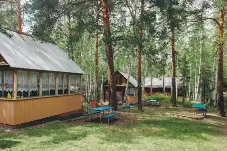Чистая Заводь - 29