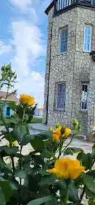 Винтаж - 34