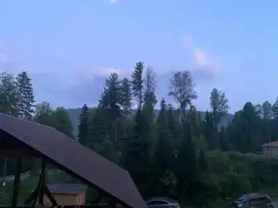 Гнездо Совы - 3