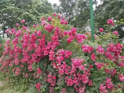 Фрегат - 2