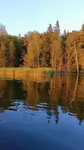 Медвежий камень - 16