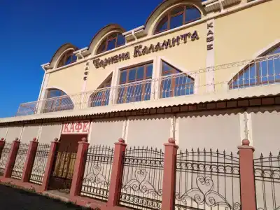 Чаривна Каламита - 46