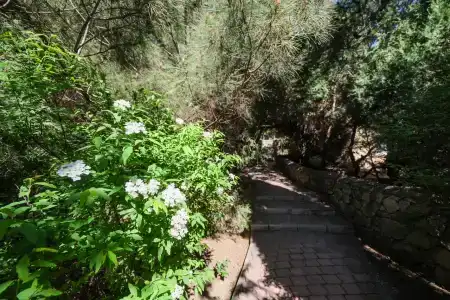 Качинская - 65