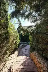 Качинская - 11