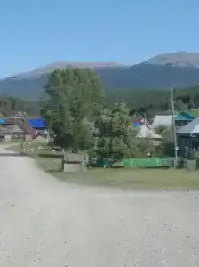 Тайга - 5