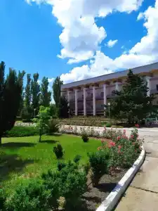 Рябинка - 10
