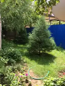 Комфорт - 5