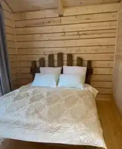 Forest camp - 28