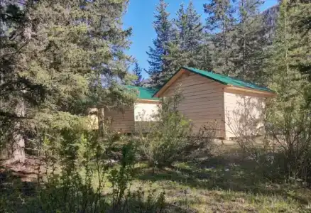 Forest camp - 11