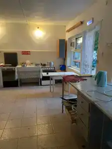 Жемчужный - 53