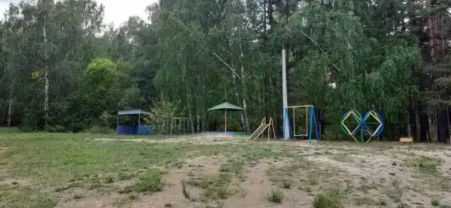 Рассвет - 29