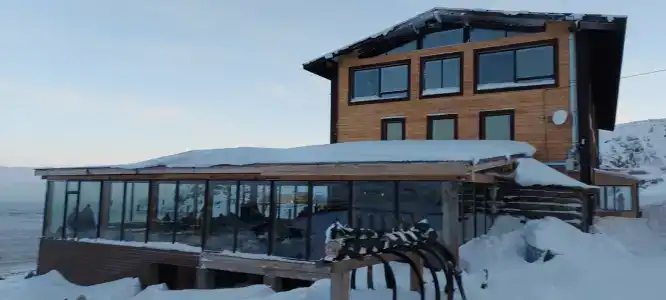 Cedar Grass Териберка - 20