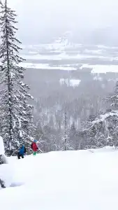 Арша - 7