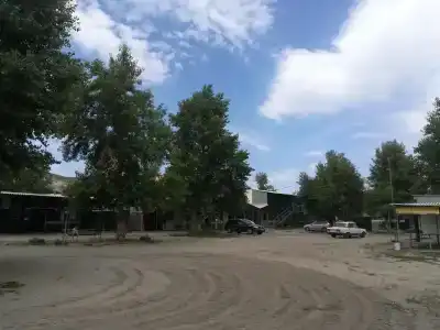 Чайка - 1