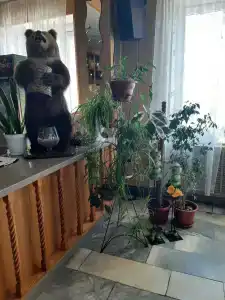 Три медведя - 50