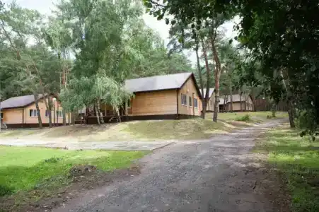 Сосновый бор - 9