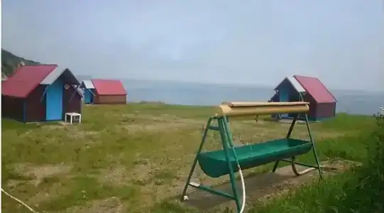 Зубарь - 13