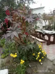 Страна Отдыха - 3