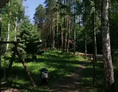 Лесовичок - 26